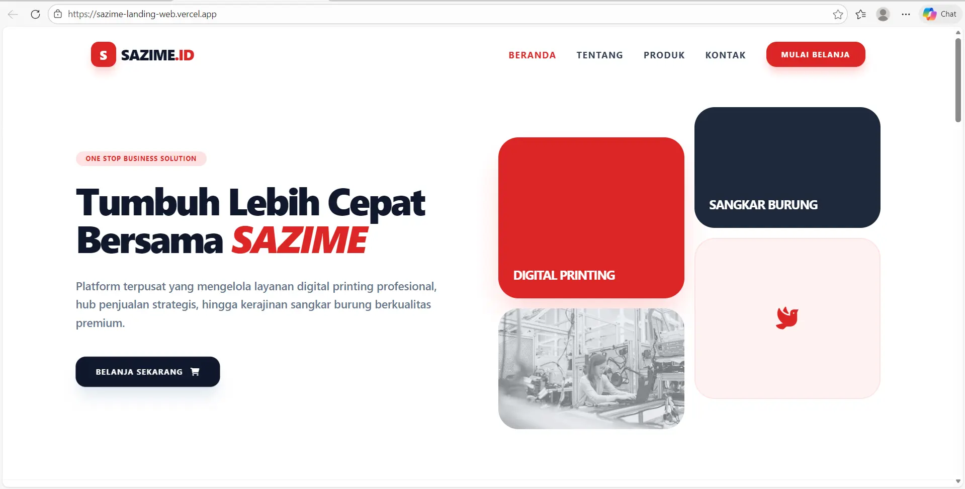 SAZIME Company Profile